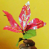 a